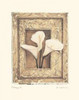 Firenze II Poster Print by Amy Melious - Item # VARPDXMEL226
