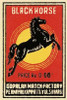 Black Horse Matches Poster Print by Phillumenart - Item # VARPDX375879