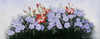 http://c328301.r1.cf1.rackcdn.com/PDXPM200605SMALL.jpg