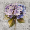 Lavender Flourish Square I Poster Print by Patricia Pinto - Item # VARPDX8600T