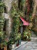 http://c328301.r1.cf1.rackcdn.com/PDXCC2293SMALL.jpg