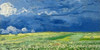 Wheatfield under thunderclouds Poster Print by Vincent Van Gogh - Item # VARPDX2VG1541