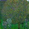 Roses Under Trees 1904 Poster Print by  Gustav Klimt - Item # VARPDX373384