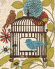 Birds and Blooms IV Poster Print by Todd Williams - Item # VARPDXTWM180