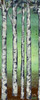 Tall Trees II Poster Print by Elizabeth Medley - Item # VARPDX9227J