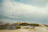 Dunes 1 Poster Print by Dawn D. Hanna - Item # VARPDXH1059D