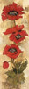 Strand of Poppies II Poster Print by Liz Jardine - Item # VARPDXJLP496