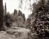 Banc de Jardin - 62 Poster Print by Alan Blaustein - Item # VARPDXABFRC162