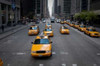 NYC Taxi Cabs Poster Print by Erin Berzel - Item # VARPDXPSBZL509