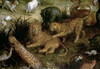 The Land of Paradise - Detail Poster Print by Jan Brueghel the Elder - Item # VARPDX281790