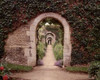 Banc de Jardin - 3 Poster Print by Alan Blaustein