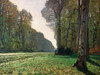 Le Pave de Chailly Poster Print by Claude Monet - Item # VARPDX3CM035