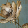 Translucent Poppies Poster Print by Lanie Loreth - Item # VARPDX6218B