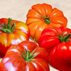 Tomatoes Poster Print by Remo Barbieri - Item # VARPDX1RM2641