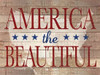 America Poster Print by Stephanie Marrott - Item # VARPDXSM15714