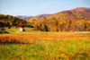 Autumn Fields I Poster Print by Alan Hausenflock - Item # VARPDXPSHSF935