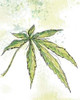 Blue Dream Poster Print by  Jan Weiss - Item # VARPDXW817D
