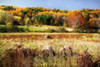 Sperryville Fields II Poster Print by Alan Hausenflock - Item # VARPDXPSHSF932