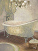 Guest Bathroom II Poster Print by Elizabeth Medley - Item # VARPDX8893