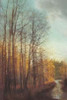 Winter Light I Poster Print by Amy Melious - Item # VARPDXMEL349