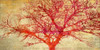 Coral Tree Poster Print by  Alessio Aprile - Item # VARPDX2AI3426