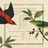 Summer Pages I Poster Print by Sue Schlabach - Item # VARPDX5902