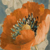 Orange Poppy Poster Print by Lanie Loreth - Item # VARPDX7817G