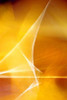 Amber Refraction II Poster Print by Douglas Taylor - Item # VARPDXPSTLR523