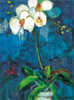 Phalaenopsis I Poster Print by Connie Tunick - Item # VARPDXTCP146