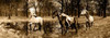 http://c328301.r1.cf1.rackcdn.com/PDX4MR909SMALL.jpg