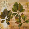 Botanica I Poster Print by Patricia Pinto - Item # VARPDX7648
