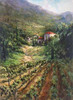 Tuscany Vineyard Poster Print by Art Fronckowiak - Item # VARPDXF497D