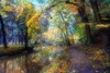 Autumn Walk Poster Print by John Rivera - Item # VARPDXR1036D