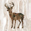 Pine Forest Deer Poster Print by  Carol Robinson - Item # VARPDX17549