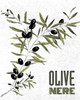 Olive Nere Poster Print by Linda Baliko - Item # VARPDX9879A