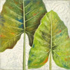 Mafafa II Poster Print by Patricia Pinto - Item # VARPDX8530