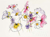 Cosmos Cosmos Poster Print by  Shirley Novak - Item # VARPDX25016