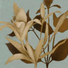 Foliage on Teal II Poster Print by Lanie Loreth - Item # VARPDX7594