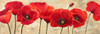 Red Poppies Poster Print by Cynthia Ann - Item # VARPDX4AN1218