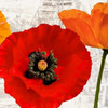 Summer Poppies III Poster Print by Jenny Thomlinson - Item # VARPDX1JT2395