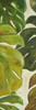 Green Touch Panel III Poster Print by Patricia Pinto - Item # VARPDX9307C