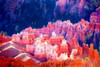 Bryce Canyon Sunrise II Poster Print by Douglas Taylor - Item # VARPDXPSTLR187