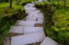 Steps I Poster Print by Brian Moore - Item # VARPDXPSMRE124
