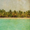 Dominican Republic I Poster Print by Acosta - Item # VARPDX9353D