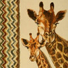 Chevron Safari I Poster Print by  Patricia Pinto - Item # VARPDX9644B