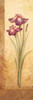 Grandiflora I Poster Print by Pamela Gladding - Item # VARPDXGLA441