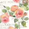 La Vie En Rose I Poster Print by Julie Paton - Item # VARPDXPAT104