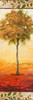 The Way of Nature II Poster Print by Michael Marcon - Item # VARPDX9840B