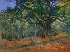 The Bodmer Oak Fontainebleau Forest Poster Print by Claude Monet - Item # VARPDX3CM2176