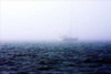 Fog on the Bay I Poster Print by Alan Hausenflock - Item # VARPDXPSHSF247